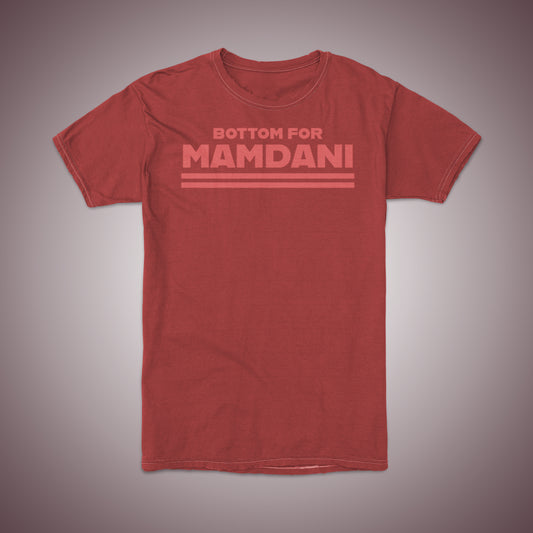 for Mamdani
